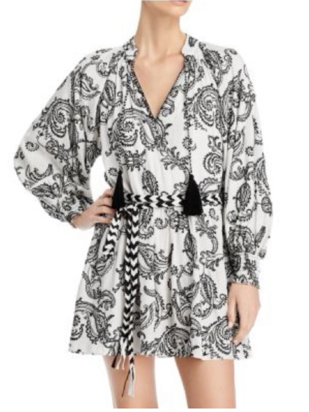 Alice & Olivia Lilian Embroiled Mini Dress Size 4
